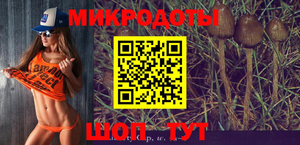 Галлюциногенные грибы Psilocybine cubensis Севастополь
